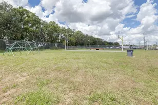 3041 Short Leaf St, Wesley Chapel, FL 33543 - Photo 46