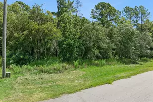 0 SW 128th Pl, Ocala, FL 34473 - Photo 1