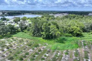 U S Hwy 27, Dundee, FL 33838 - Photo 6