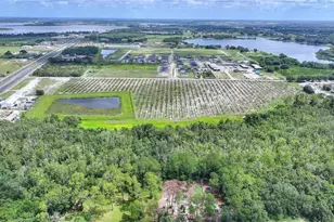 U S Hwy 27, Dundee, FL 33838 - Photo 16