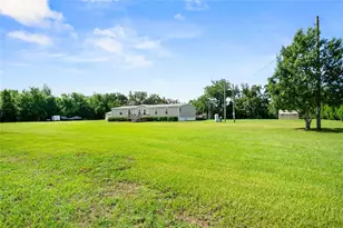 39670 Wilds Rd, Dade City, FL 33525 - Photo 4