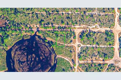 725 Quail Avenue, Sebring, FL 33870 - Photo 4