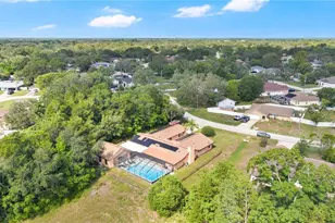 2456 Danforth Rd, Spring Hill, FL 34608 - Photo 50