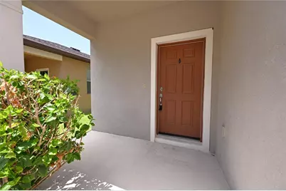 6309 Yellow Buckeye Drive, Riverview, FL 33578 - Photo 48