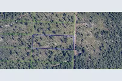 Dill Road, Orlando, FL 32820 - Photo 2