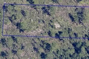 Dill Rd, Orlando, FL 32820 - Photo 1
