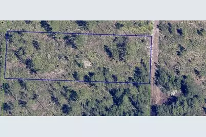 Dill Road, Orlando, FL 32820 - Photo 6