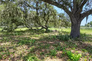 6570 Water Tank Road E, Haines City, FL 33844 - Photo 84