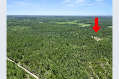 3450 Salyers Road, Clermont, FL 34714 - Photo 42