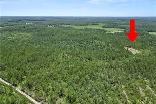 3450 Salyers Rd, Clermont, FL 34714 - Photo 42