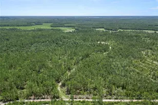 3450 Salyers Rd, Clermont, FL 34714 - Photo 38