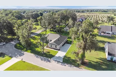 1022 Briarwood Drive, Wauchula, FL 33873 - Photo 48