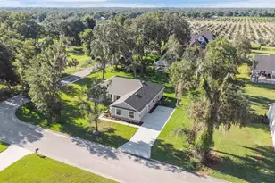 1022 Briarwood Dr, Wauchula, FL 33873 - Photo 48