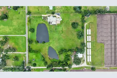 5503 Downing Street, Dover, FL 33527 - Photo 20