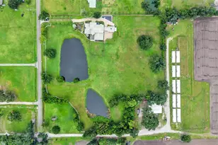 5503 Downing St, Dover, FL 33527 - Photo 20