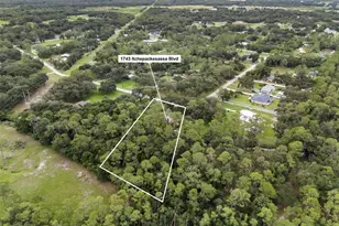 1743 Itchepackesassa Dr, Lakeland, FL 33810 - Photo 48