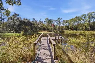 9240 Moore Rd, Lakeland, FL 33809 - Photo 48