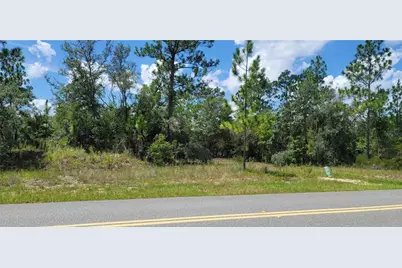 10339 N G Martinelli Boulevard, Citrus Springs, FL 34433 - Photo 8