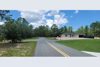 10339 N G Martinelli Boulevard, Citrus Springs, FL 34433 - Photo 6