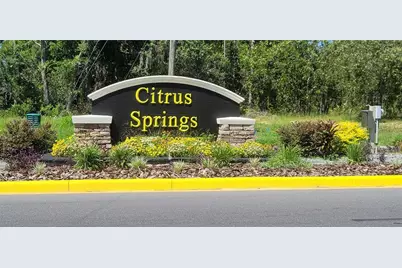10339 N G Martinelli Boulevard, Citrus Springs, FL 34433 - Photo 1