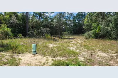 10339 N G Martinelli Boulevard, Citrus Springs, FL 34433 - Photo 10