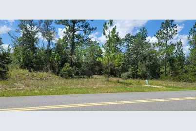 10339 N G Martinelli Boulevard, Citrus Springs, FL 34433 - Photo 12
