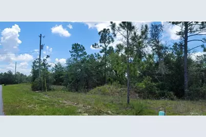 10339 N G Martinelli Boulevard, Citrus Springs, FL 34433 - Photo 14