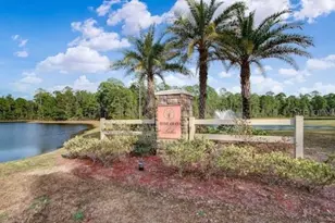 86434 Moonlit Walk Cir, Yulee, FL 32097 - Photo 60