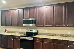 421 E Park St, Lakeland, FL 33803 - Photo 4