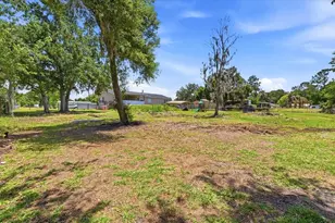 10724 Pathfinder Trail, Lakeland, FL 33809 - Photo 46