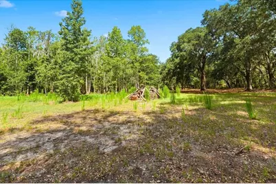 1425 Pioneer Drive, Lakeland, FL 33809 - Photo 6