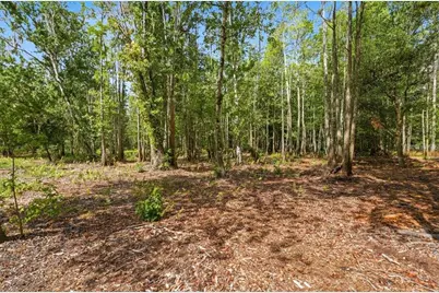 1425 Pioneer Drive, Lakeland, FL 33809 - Photo 10