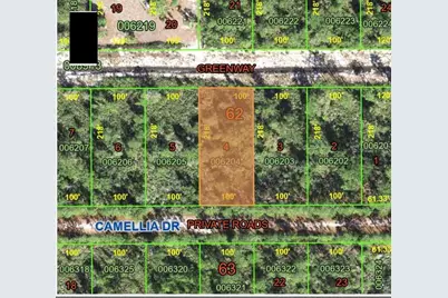 Camellia Drive, Indian Lake Estates, FL 33855 - Photo 1
