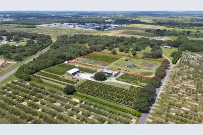 104 Egg Farm Road, Lake Wales, FL 33859 - Photo 6