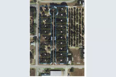 301 E Cornell Street, Avon Park, FL 33825 - Photo 2