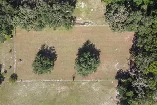 4605 Thompson Rd, Mulberry, FL 33860 - Photo 66