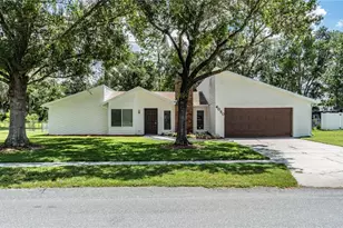 4090 Old Colony Rd, Mulberry, FL 33860 - Photo 1