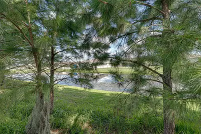 1236 Evergreen Park Circle, Lakeland, FL 33813 - Photo 68