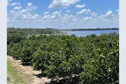 A T Race Road, Dundee, FL 33838 - Photo 8