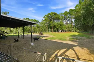 1710 E Ray St, Hernando, FL 34442 - Photo 32