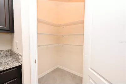 2548 Ryland Falls Drive, Lakeland, FL 33811 - Photo 8