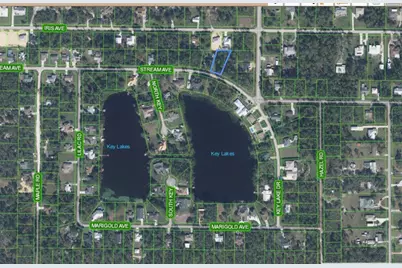 1714 Stream Avenue, Sebring, FL 33875 - Photo 2