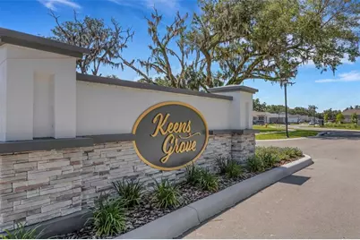 2980 Keens Grove Way, Lakeland, FL 33810 - Photo 42