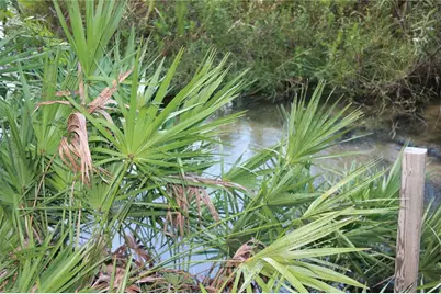Deer Road, Frostproof, FL 33843 - Photo 10