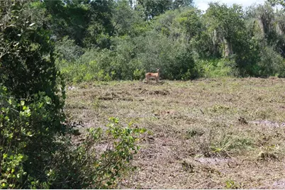 Deer Road, Frostproof, FL 33843 - Photo 14