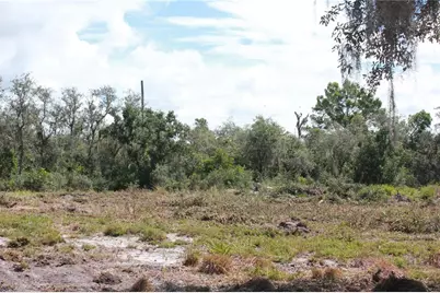 Deer Road, Frostproof, FL 33843 - Photo 12