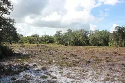 Deer Road, Frostproof, FL 33843 - Photo 6