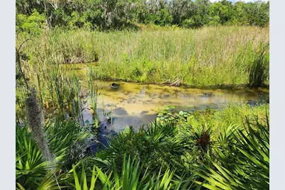 Deer Road, Frostproof, FL 33843 - Photo 2