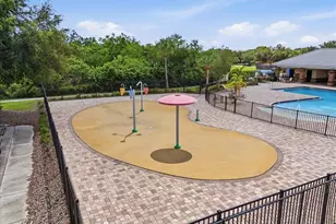 9113 Grant Line Ln, Riverview, FL 33578 - Photo 46