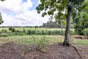 6103 Sky Flower Ct, Bartow, FL 33830 - Photo 8